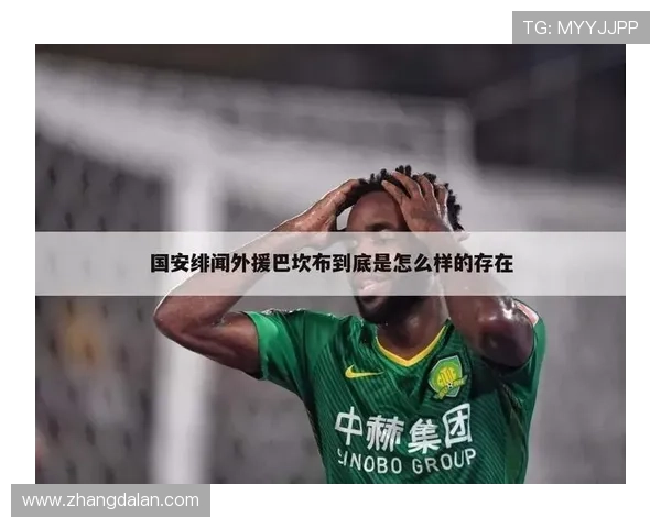 新2体育：用户评价与口碑分析，了解新2体育在体育爱好者中的真实表现