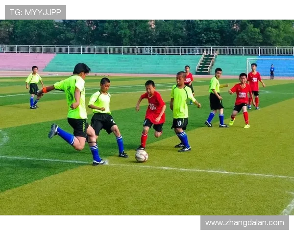 多设备支持的od体育在线观看服务，随时随地畅享体育盛事