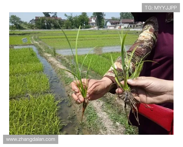 正大国际推动绿色农业发展的政策支持与实际行动总结 正大国际推动绿色农业发展的政策支持与实际行动总结
